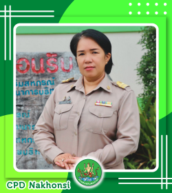 นางสาวสุภาภรณ์  แซ่จู้