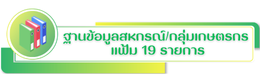 แฟ้ม 19 รายการ
