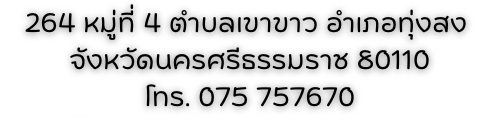 TThonsong888999