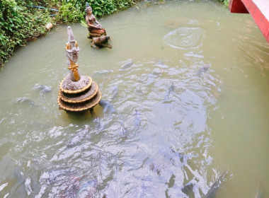 โครงการสหกรณ์ร่วมใจ ยกปิ่นโตเข้าวัด สืบสานประเพณี ... พารามิเตอร์รูปภาพ 9