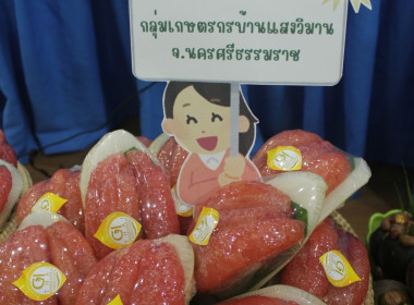 โครงการประชุมเชิงปฏิบัติการ ... พารามิเตอร์รูปภาพ 2