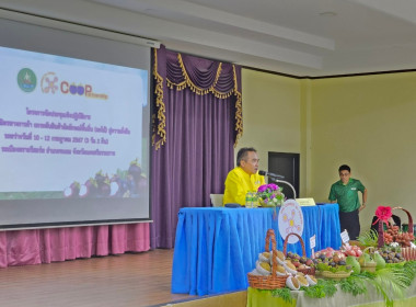 โครงการประชุมเชิงปฏิบัติการ ... พารามิเตอร์รูปภาพ 6