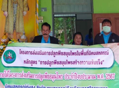 โครงการส่งเสริมการปลูกพืชสมุนไพรในพื้นที่นิคมสหกรณ์ ... พารามิเตอร์รูปภาพ 12
