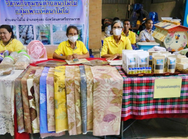ลงพื้นที่ตรวจราชการติดตามการดำเนินงานของสหกรณ์กองทุนสวนยางไสกรูดการเกษตร จำกัด ตำบลนาไม้ไผ่ อำเภอทุ่งสง จังหวัดนครศรีธรรมราช โดยมี นายวิศิษฐ์ ศรีสุวรรณ์ อธิบดีกรมส่งเสริมสหกรณ์ นายประวัติ แดงบรรจง รองอธิบดีกรมส่งเสริมสหกรณ์ นายไพฑูรย์ ชนะชู ผู้ตรวจราชการ ... พารามิเตอร์รูปภาพ 39