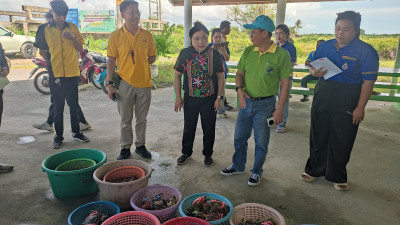 ลงพื้นที่เพื่อเตรียมความพร้อมในโครงการยกระดับความปลอดภัยและคุณภาพของปูทะเล เพื่อพัฒนาผลิตภัณฑ์ปูทะเลคุณภาพสูง ในจังหวัดนครศรีธรรมราชและพื้นที่ที่เกี่ยวข้อง (ภายใต้แผนงานวิจัยการบริหารจัดการ RAINS For Thailand food valley ภาคใต้ตอนบนเพื่อเป็นศูนย์กลาง ... พารามิเตอร์รูปภาพ 1
