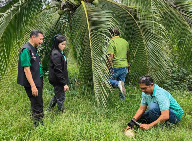 ประชุมติดตามความก้าวหน้าผลการดำเนินโครงการแก้ไขปัญหาหนี้สินและพัฒนาคุณภาพชีวิตสมาชิกสหกรณ์/กลุ่มเกษตรกรด้วยระบบสหกรณ์ ปีงบประมาณ 2567 มีสหกรณ์และกลุ่มเกษตรกรรวมเข้าร่วมโครงการ 20 แห่ง หนี้ NPL รวม 27,133,271.49 บาท จำนวนลูกหนี้ 731 ... พารามิเตอร์รูปภาพ 21