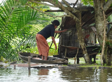 ลงพื้นที่สนับสนุนอาหารกล่องและน้ำดื่มให้เกษตรกรผู้ประสบภัยอุทกภัย ณ ตำบลช้างซ้าย อำเภอพระพรหม ตามนโยบายปลัดกระทรวงเกษตรและสหกรณ์ ที่มอบหมายให้ศูนย์ติดตามและแก้ไขปัญหาภัยพิบัติจังหวัด บูรณาการเร่งช่วยเหลือเพื่อบรรเทาทุกข์ให้ประชาชนในเบื้องต้น ... พารามิเตอร์รูปภาพ 15