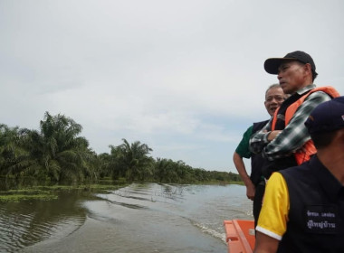 ลงพื้นที่สนับสนุนอาหารกล่องและน้ำดื่มให้เกษตรกรผู้ประสบภัยอุทกภัย ณ ตำบลช้างซ้าย อำเภอพระพรหม ตามนโยบายปลัดกระทรวงเกษตรและสหกรณ์ ที่มอบหมายให้ศูนย์ติดตามและแก้ไขปัญหาภัยพิบัติจังหวัด บูรณาการเร่งช่วยเหลือเพื่อบรรเทาทุกข์ให้ประชาชนในเบื้องต้น ... พารามิเตอร์รูปภาพ 18