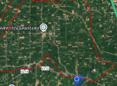 ลงพื้นที่ปฏิบัติราชการระวังชี้แนวเขตและลงชื่อรับรองแนวเขตที่ดินกรณีออกโฉนดที่ดินหรือหนังสือรับรองการทำประโยชน์ รายนางฉลวย เขียวรอด สรุปพื้นที่อยู่นอกเขตนิคมสหกรณ์ทุ่งสง ณ พื้นที่เขตนิคมสหกรณ์ทุ่งสง หมู่ที่ 8 ตำบลเขาขาว อำเภอทุ่งสง จังหวัดนครศรีธรรมราช ... พารามิเตอร์รูปภาพ 1