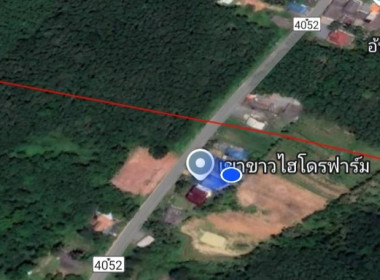 ลงพื้นที่ปฏิบัติราชการระวังชี้แนวเขตและลงชื่อรับรองแนวเขตที่ดินกรณีออกโฉนดที่ดินหรือหนังสือรับรองการทำประโยชน์ รายนางฉลวย เขียวรอด สรุปพื้นที่อยู่นอกเขตนิคมสหกรณ์ทุ่งสง ณ พื้นที่เขตนิคมสหกรณ์ทุ่งสง หมู่ที่ 8 ตำบลเขาขาว อำเภอทุ่งสง จังหวัดนครศรีธรรมราช ... พารามิเตอร์รูปภาพ 2