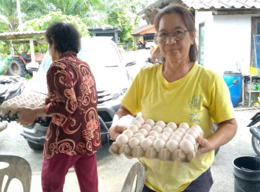แนะนำ ส่งเสริมการดำเนินธุรกิจ ... พารามิเตอร์รูปภาพ 5