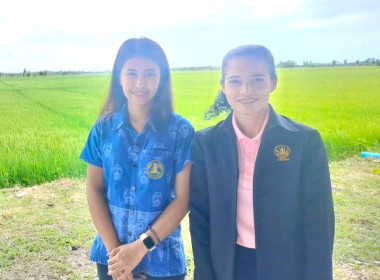 ประชุมติดตามผลการดำเนินงานปฏิทินปลูกข้าวในเขตพื้นที่ลุ่มน้ำปากพนังหลังน้ำลด จากที่สำนักงานชลประทานที่ 15 และศูนย์เรียนรู้ปรับปฏิทินปลูกข้าวนาปีหลังน้ำลด อำเภอหัวไทร จังหวัดนครศรีธรรมราช ได้ลงนามบันทึกข้อตกลง (MOU) การปรับปฏิทินปลูกข้าวนาปีหลังน้ำลด ในเขต ... พารามิเตอร์รูปภาพ 5