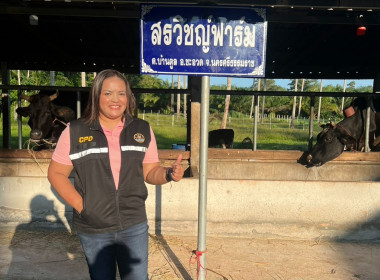 ตรวจปริมาณน้ำนมโคและปริมาณประชากรโคนม ระดับจังหวัด ปี 2568 ... พารามิเตอร์รูปภาพ 6