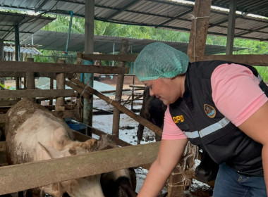 ตรวจปริมาณน้ำนมโคและปริมาณประชากรโคนม ระดับจังหวัด ปี 2568 ... พารามิเตอร์รูปภาพ 8