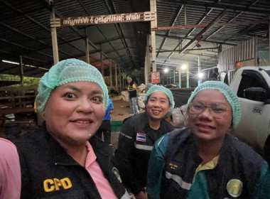 ตรวจปริมาณน้ำนมโคและปริมาณประชากรโคนม ระดับจังหวัด ปี 2568 ... พารามิเตอร์รูปภาพ 10