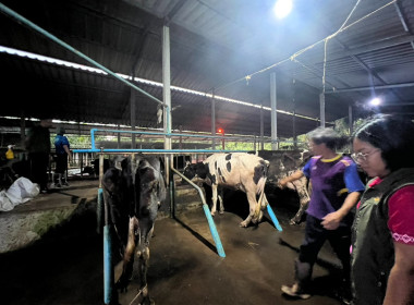 ตรวจปริมาณน้ำนมโคและปริมาณประชากรโคนม ระดับจังหวัด ปี 2568 ... พารามิเตอร์รูปภาพ 19