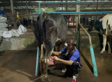 ตรวจปริมาณน้ำนมโคและปริมาณประชากรโคนม ระดับจังหวัด ปี 2568 ... พารามิเตอร์รูปภาพ 20