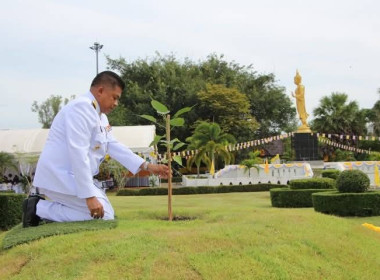 พิธีปลูกต้น “พระศรีมหาโพธิทศมราชบพิตร” ณ สวนพุทธภูมิ ... พารามิเตอร์รูปภาพ 2