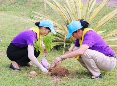 กิจกรรมจิตอาสาพัฒนาปรับปรุงสวนสาธารณะเฉลิมพระเกียรติ ... พารามิเตอร์รูปภาพ 15