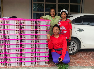 รวบรวมผลผลิตมังคุด เพื่อกระจายออกนอกแหล่งผลิต ... พารามิเตอร์รูปภาพ 14