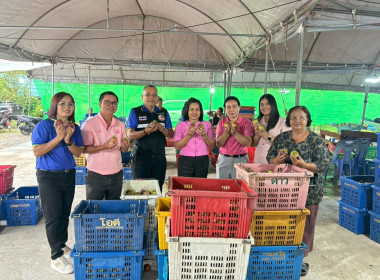 ลงพื้นที่เข้าตรวจสอบการรวบรวมผลผลิต คุณภาพผลผลิต ... พารามิเตอร์รูปภาพ 9