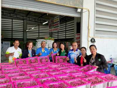ตรวจเยี่ยมให้คำแนะนำในการรับซื้อผลผลิตมังคุดคุณภาพ ... พารามิเตอร์รูปภาพ 1