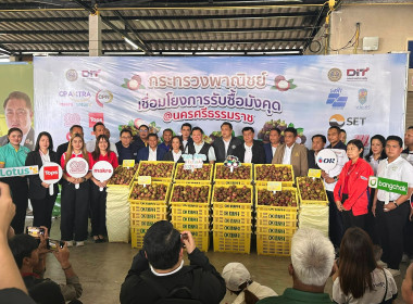 พิธีเปิดงาน “เชื่อมโยงผลไม้ออกนอกแหล่งผลิต” ณ บ้านศาลา 3 ... พารามิเตอร์รูปภาพ 17