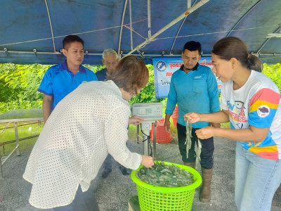 โครงการส่งเสริมการรณรงค์บริโภคสินค้ากุ้ง ปี 2567 ... พารามิเตอร์รูปภาพ 1