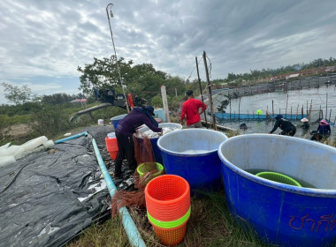 โครงการส่งเสริมการรณรงค์บริโภคสินค้ากุ้ง ปี 2567 ... พารามิเตอร์รูปภาพ 4