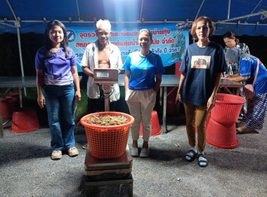 ตรวจสอบความถูกต้องขอข้อมูลเอกสารประกอบการซื้อขายกุ้งประจำจุดรวบรวม ณ สำนักงานสหกรณ์ผู้เลี้ยงกุ้ง จำกัด ต.ท่าพยา อ.ปากพนัง จ.นครศรีธรรมราช ... พารามิเตอร์รูปภาพ 1