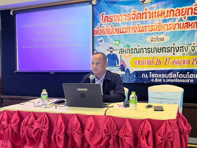 โครงการจัดทำแผนกลยุทธ์เพื่อใช้เป็นแนวทาง ... พารามิเตอร์รูปภาพ 1