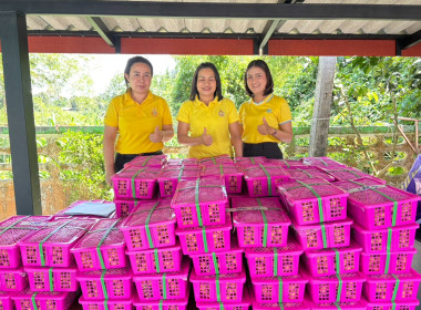 ร่วมกระจายลำไยจากสหกรณ์การเกษตรประตูป่า จำกัด จังหวัดลำพูน ... พารามิเตอร์รูปภาพ 7