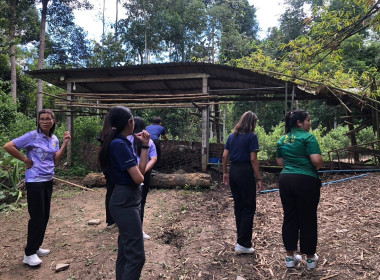 ลงพื้นที่เพื่อตรวจเยี่ยม ... พารามิเตอร์รูปภาพ 1