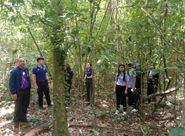 ลงพื้นที่เพื่อตรวจเยี่ยม ... พารามิเตอร์รูปภาพ 3