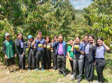 ลงพื้นที่เพื่อตรวจเยี่ยม ... พารามิเตอร์รูปภาพ 5