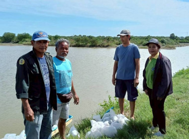 โครงการสนับสนุนพันธุ์ลูกปูขาวเพื่อการอนุบาล ... พารามิเตอร์รูปภาพ 2