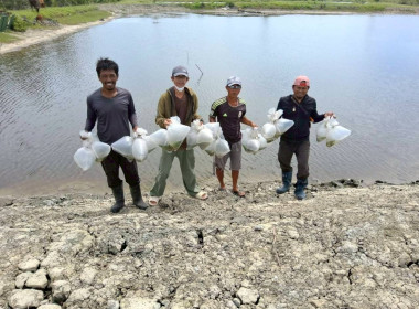 โครงการสนับสนุนพันธุ์ลูกปูขาวเพื่อการอนุบาล ... พารามิเตอร์รูปภาพ 3