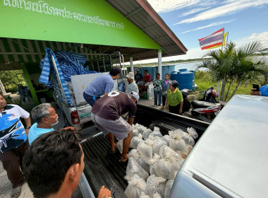 โครงการสนับสนุนพันธุ์ลูกปูขาวเพื่อการอนุบาล ... พารามิเตอร์รูปภาพ 4