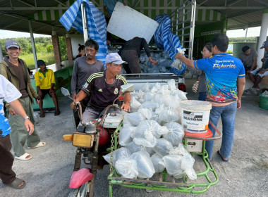 โครงการสนับสนุนพันธุ์ลูกปูขาวเพื่อการอนุบาล ... พารามิเตอร์รูปภาพ 5