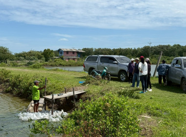 โครงการสนับสนุนพันธุ์ลูกปูขาวเพื่อการอนุบาล ... พารามิเตอร์รูปภาพ 6