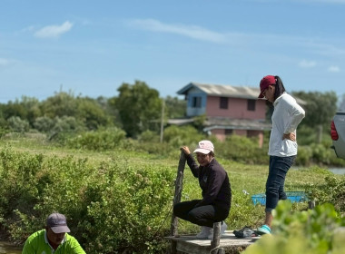 โครงการสนับสนุนพันธุ์ลูกปูขาวเพื่อการอนุบาล ... พารามิเตอร์รูปภาพ 7