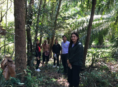 ลงพื้นที่ตรวจสอบและเก็บข้อมูลแนวเขตพื้นที่สงวนเพื่อกิจการนิคมสหกรณ์ เพื่อดำเนินการตามคำสั่งการของกรมส่งเสริมสหกรณ์ต่อไป ณ พื้นที่นิคมสหกรณ์ทุ่งสง หมู่ที่ 4 ต.เขาขาว อ.ทุ่งสง จ.นครศรีธรรมราช ... พารามิเตอร์รูปภาพ 1