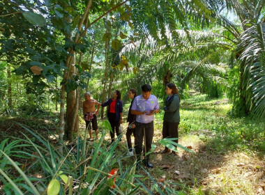 ลงพื้นที่ตรวจสอบและเก็บข้อมูลแนวเขตพื้นที่สงวนเพื่อกิจการนิคมสหกรณ์ เพื่อดำเนินการตามคำสั่งการของกรมส่งเสริมสหกรณ์ต่อไป ณ พื้นที่นิคมสหกรณ์ทุ่งสง หมู่ที่ 4 ต.เขาขาว อ.ทุ่งสง จ.นครศรีธรรมราช ... พารามิเตอร์รูปภาพ 3
