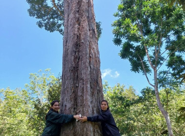 ลงพื้นที่ตรวจสอบและเก็บข้อมูลแนวเขตพื้นที่สงวนเพื่อกิจการนิคมสหกรณ์ เพื่อดำเนินการตามคำสั่งการของกรมส่งเสริมสหกรณ์ต่อไป ณ พื้นที่นิคมสหกรณ์ทุ่งสง หมู่ที่ 4 ต.เขาขาว อ.ทุ่งสง จ.นครศรีธรรมราช ... พารามิเตอร์รูปภาพ 4