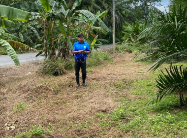 ลงพื้นที่ตรวจสอบและเก็บข้อมูลแนวเขตพื้นที่สงวนเพื่อกิจการนิคมสหกรณ์ เพื่อดำเนินการตามคำสั่งการของกรมส่งเสริมสหกรณ์ต่อไป ณ พื้นที่นิคมสหกรณ์ทุ่งสง หมู่ที่ 4 ต.เขาขาว อ.ทุ่งสง จ.นครศรีธรรมราช ... พารามิเตอร์รูปภาพ 2