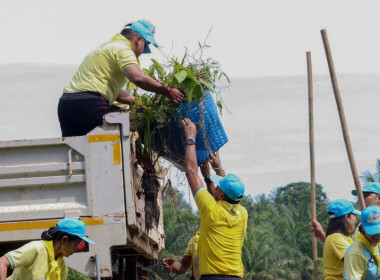 กิจกรรมจิตอาสาพัฒนาขุดลอกคลองวังกรูดเนื่องในวันนวมินทรมหาราช 13 ตุลาคม 2568 ในการนี้ นายศิวกร ศรีภักดี สหกรณ์จังหวัดนครศรีธรรมราช มอบหมายให้บุคลากรกลุ่มส่งเสริมและพัฒนาธุรกิจสหกรณ์ และกลุ่มส่งเสริมสหกรณ์ 6 เข้าร่วมกิจกรรมดังกล่าว ณ คลองวังกรูด หมู่ที่ 4 ... พารามิเตอร์รูปภาพ 3