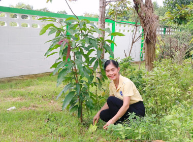 กิจกรรมวันรักต้นไม้ประจำปีของชาติ พ.ศ. 2568 ... พารามิเตอร์รูปภาพ 9