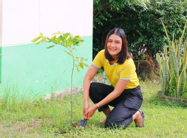 กิจกรรมวันรักต้นไม้ประจำปีของชาติ พ.ศ. 2568 ... พารามิเตอร์รูปภาพ 10