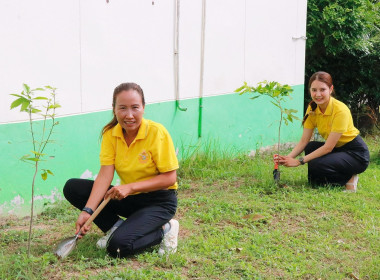 กิจกรรมวันรักต้นไม้ประจำปีของชาติ พ.ศ. 2568 ... พารามิเตอร์รูปภาพ 12