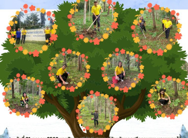 กิจกรรม​&quot;วันรักต้นไม้ประจำปีของชาติ&quot; พ.ศ. 2568 ... พารามิเตอร์รูปภาพ 1